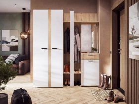 Модульная прихожая Санса (дуб сонома/белый) в Искитиме - iskitim.mebel-nsk.ru | фото